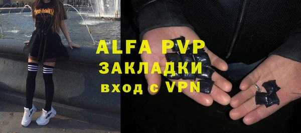 apvp Верея